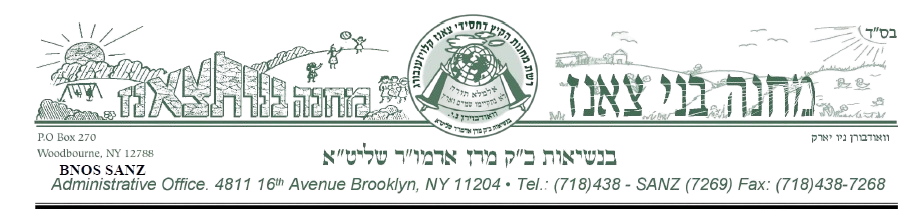 Bnos Sanz Logo